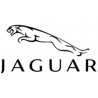 Jaguar.